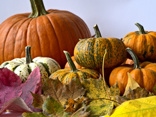 autumn still life