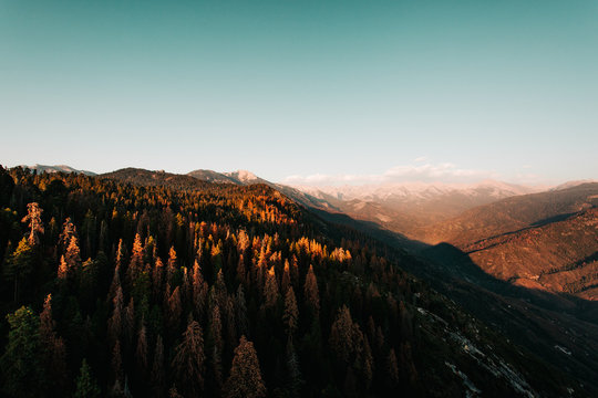 Mountains and Trees