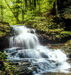 Fototapeta na wymiar Ricketts Glen harbors Glens Natural Area