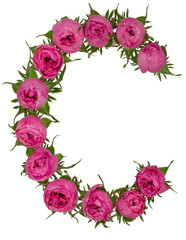Letter C alphabet from flowers of roses, isolated on white background