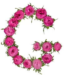 Fotobehang Bloemen Letter G alphabet from flowers of roses, isolated on white background