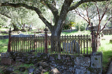 Tombstone iron fence in old cemetery