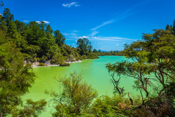 Lake Ngakoro Rotorua New Zealand