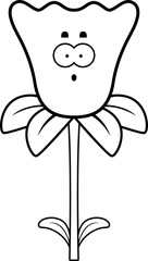 Surprised Daffodil