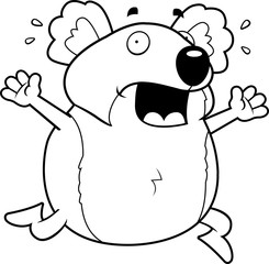 Koala Panic