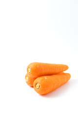 carrot isolated on white background