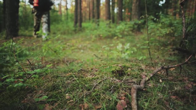 Close-up view of the male foot in boot goes through the forest meadow. Man in overalls exploring the nature park alone.