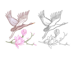 Flowers and crane. Set of colored sample and outline drawing.  Outline hand drawing coloring page for adult coloring book.
 Stock line vector illustration.