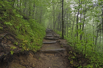 Foggy trail in the Mountains