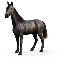 Fototapeta na wymiar Black horse on a white background. 3d rendering