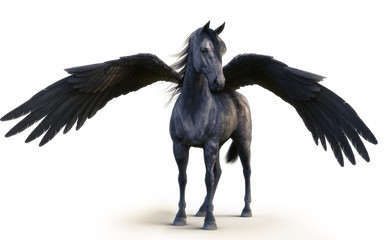 Obraz na płótnie Canvas Mythical black Pegasus posing on white isolated background. 3d rendering