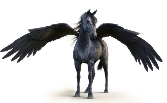Mythical black Pegasus posing on white isolated background. 3d rendering