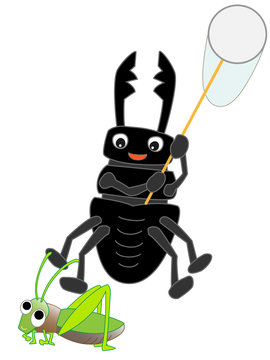 クワガタの虫取り