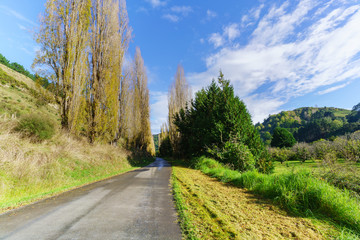 Fototapeta na wymiar Beautiful countryside of Whanganui in Autumn , North Island of New Zealand