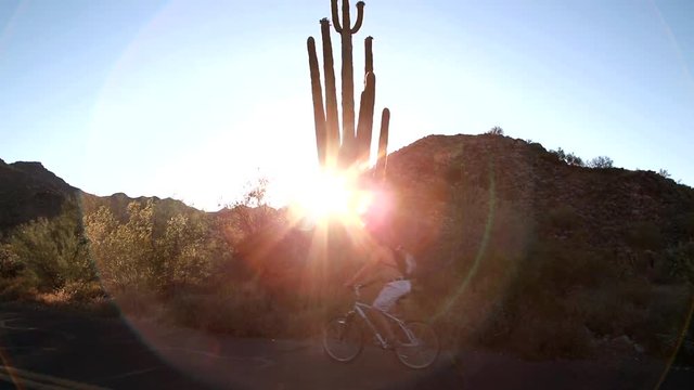 Biking in the Desert. ARIZONA, USA - May 2017. Saguaro Cactus & Bicyclist. Tilt down.  Biker at the Sonoran desert, passing the Saguaro Cactus during a golden sunset at the White Tank Regional Park we