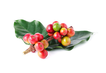 Fresh coffee beans isolated on white