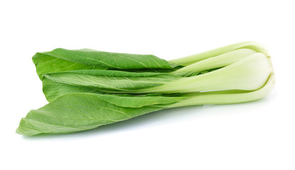 Bok choy (chinese cabbage) isolated on white background