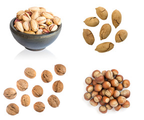 Collection of Nuts in Shell