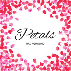 Pink Flying Petals Background