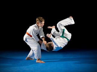 Two boys martial arts fighters