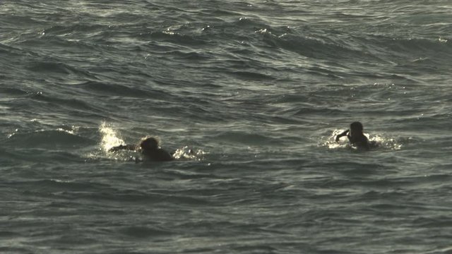 Surfers paddling to the big wave in slow motion