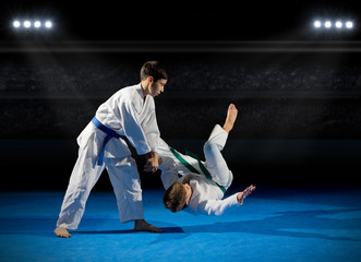 Two boys martial arts fighters