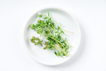 fresh oregano