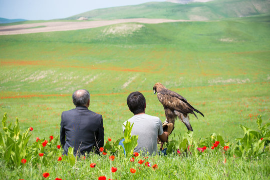 Kartal ve Avcı