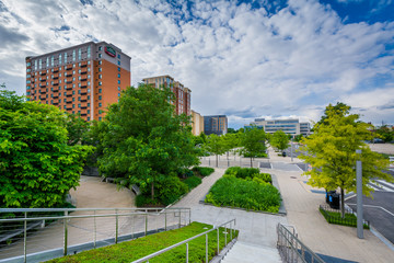 Gardens and trees at Canal Park in the Navy Yard neighborhood of Washington, DC.
