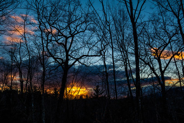 Spectacular winter evening through leave-less trees