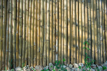 Obraz premium Bamboo wall as the backgroud texture