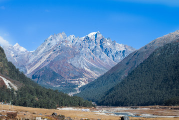 Yumthang Valley, India