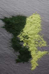Chlorella and barley grass.