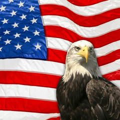 United States Flag, Eagle, Memorial day