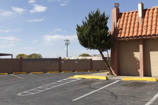 a tree grows sideways on a parking lot