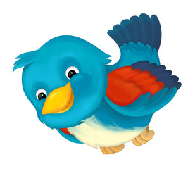 cheerful cartoon blue bird / illustration for children