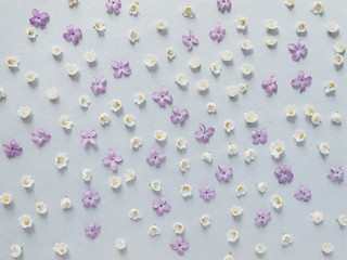 Small flowers on a blue background. Pattern of small white and purple flowers. Lilies of the valley and lilac. Floral abstract background.