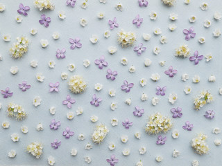 Small flowers on a blue background. Pattern of small white and purple flowers. Lilies of the valley and lilac. Floral abstract background.