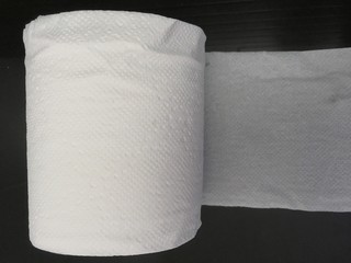 tissue roll in toilet