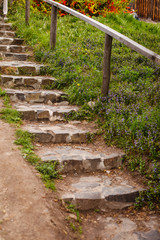 Old stone staircase in the countryside with violet little flowers along it