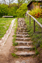 Fototapeta na wymiar Old stone staircase in the countryside with violet little flowers along it