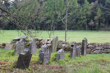 Headstones on Jewish graveyard in Olšany near Jindřichuv Hradec, Czech republic