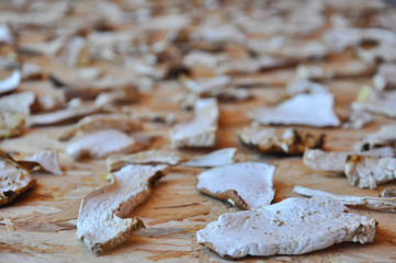 Dried porcini mushrooms. Background with dry mushrooms, boletus edulis as spice for cooking