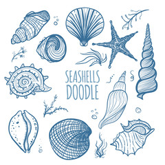Set of seashells on white background. Hand drawn doodle seashells, starfish, seaweed and coral. Seashells vector illustration.