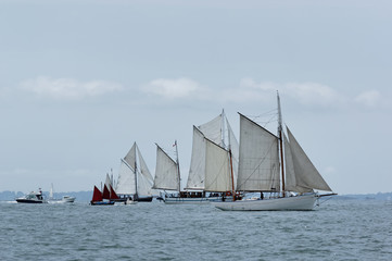 vieux gr&eacute;ement sur littoral du Morbihan