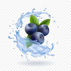 Blueberry and water splash isolated on transparent background. Realistic dairy prodact