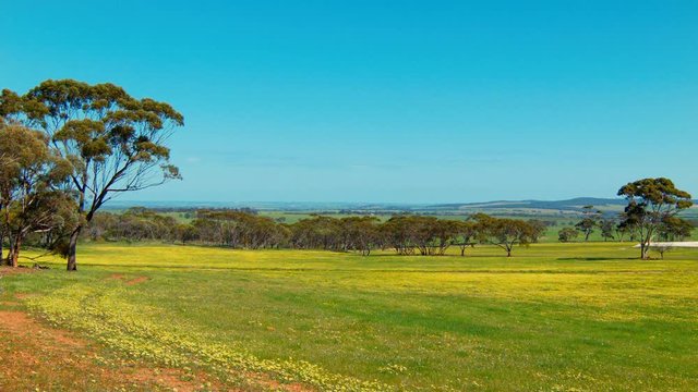 Australian Farm Landscape View