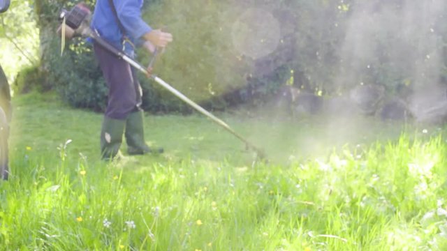 Homme passe un debroussailleuse pour couper des herbes.