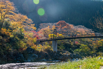 Mitake town and Tama river, beautiful small town in autumn season.