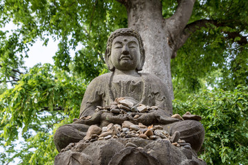 Fototapeta na wymiar 木の下の石仏